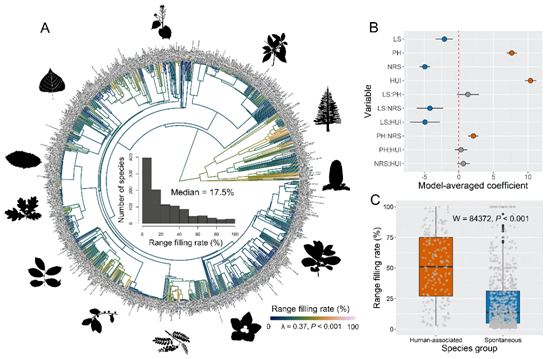 aa9c65b50e3e46e6af0f44975d69b054.png image.png